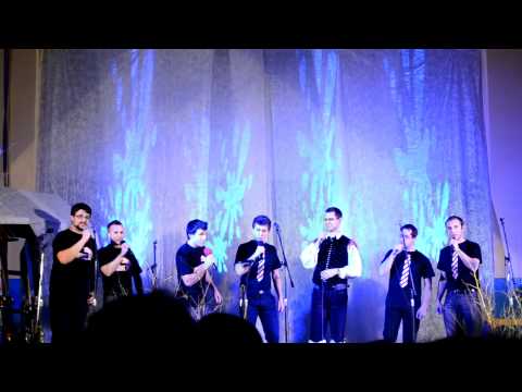 sekstet odoica  -  ankar u žiri