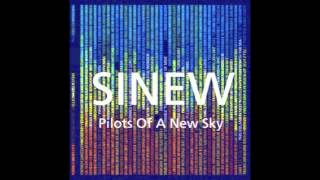 Sinew - 06 - Arctica