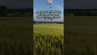 Download lagu kamulah penyemangatku#quotes #quoteoftheday #katakata #fypシ #katacinta #cinta #cintaku #love #fyp mp3