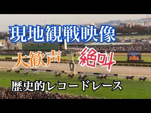 【ジャパンC】2018.11.25 返し馬〜レコード名レース〜馬券紹介【JRA】【東京競馬場】