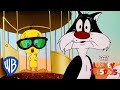Looney Tuesdays Did I Saw A Putty Tat Looney Tunes WB Kids