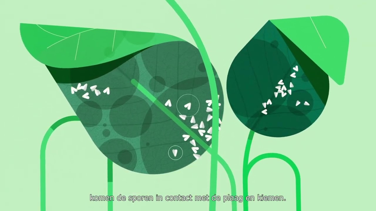 Video preview poster