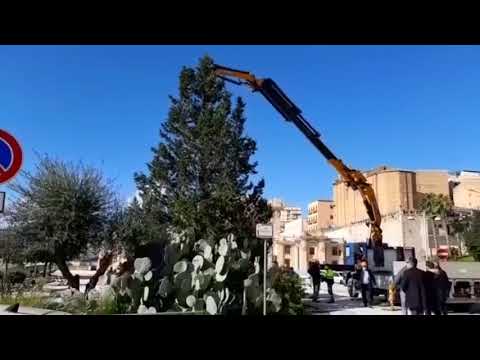 Agrigento, arriva albero di Natale in piazza Stazione