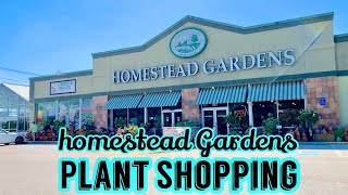 Plant Shopping | Homestead Gardens