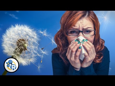 Why Do People Get Allergies?
