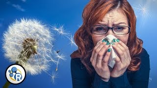 Why Do We Get Allergies?