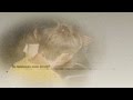 Малыш мы вместе уже полгода)Люблю тебя=* 
