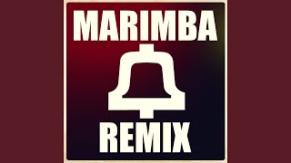 F.D.B. (Xylophone Opening Remix)