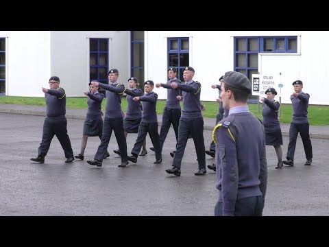 2017 S&NI Regional Drill and Banner competitions