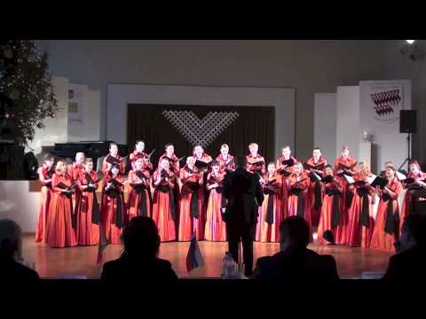 Swedbank koris - Mīstat linus, mīstītāji, Pēteris Plakidis