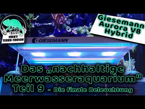 Das „ nachhaltige Meerwasseraquarium „  Teil 9 Giesemann Aurora V8 Hybrid