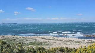 26 Marzo 2026: Laurons, Bouches du Rhône, La Côte Bleue, France