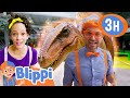 Dinosaur And Zoo Fun More Blippi And Meekah Best Friend Adventures Educational Videos For Kids