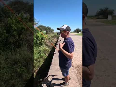 🔥MUCHA Pesca y Cocina🔥 Los Puestos y Arroyo Mista #pesca #fishing #argentina #tucuman #fish