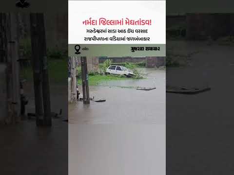 નર્મદા જિલ્લામાં મેઘતાંડવ! ગરુડેશ્વરમાં સાડા આઠ ઇંચ વરસાદ, રાજપીપળાના વડિયામાં જળબંબાકાર! નર્મદા જિલ્લામાં મેઘતાંડવ! ગરુડેશ્વરમાં સાડા આઠ ઇંચ વરસાદ, રાજપીપળાના વડિયામાં જળબંબાકાર!