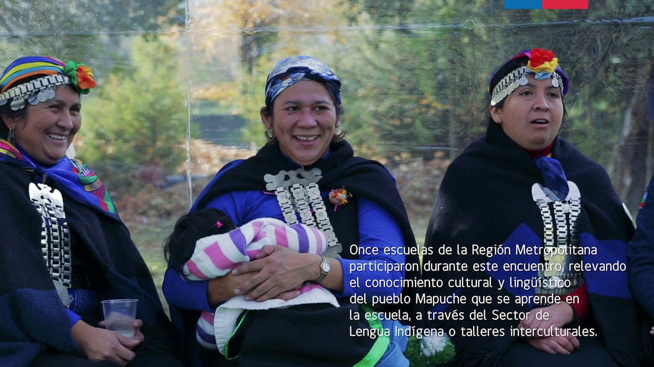 Portal de Educación Intercultural
