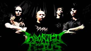 Aborted Fetus - Anal Deflorate