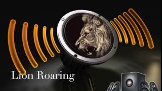 Lion Roaring-Sound Effect