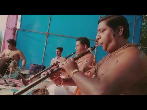 NaradaMuni vedalena pantuvarali Ragam