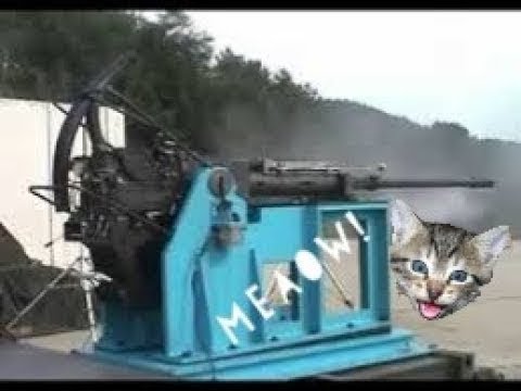 Korean 40mm cannon sounds like cat