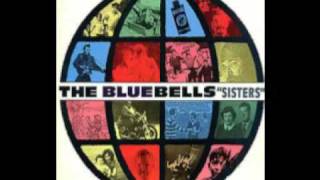 Bluebells "Red Guitars" 1984
