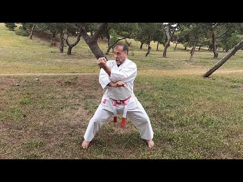 TEKKI SHODAN - (step by step)