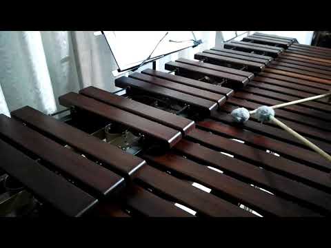 Inni di lode N°401: Santo Spirito, deh, scendi Marimba Cover