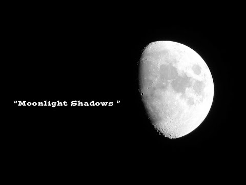 Moonlight Shadows