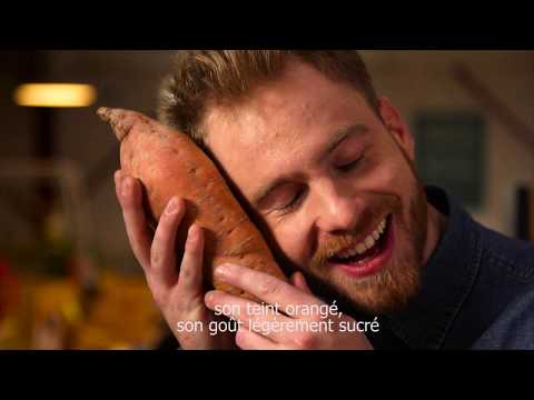 download lagu mp3 mp4 Jungle Crisps, download lagu Jungle Crisps gratis, unduh video klip Jungle Crisps