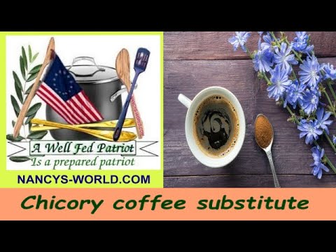 Chicory coffee substitute
