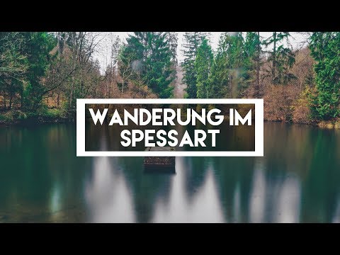 WANDERUNG IM SPESSART | Vlog 155