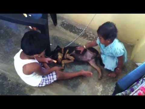 Harith & Vennela with Dog