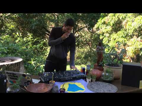 Stellet Live at Lipe Forbes and Friends Online