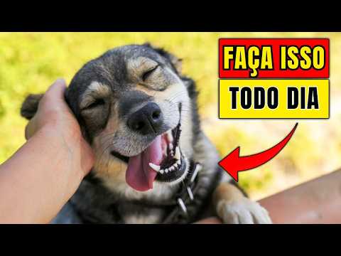 Scientists reveal 15 SHOCKING ways to make your dog happier!