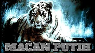 Download lagu story wa macan putih 30 detik mp3