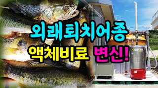 [터치정보農 19편] 생태계교란어종을 이용한 유기액비 만들기