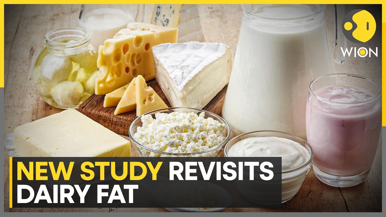 Research: Full-Fat Dairy Does Not Drive Weight | WION News