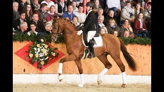 Video of Van Primero