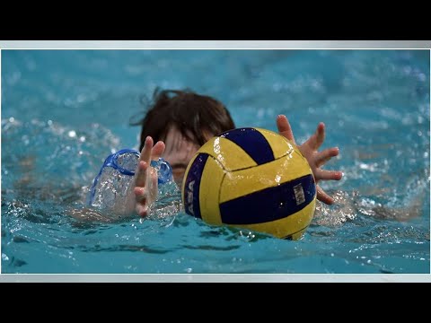 VIDEO: Wasserball, Champions League: WASPO98 Hannover - Pro Recco live im TV