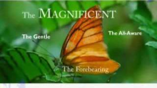 1   Allah (الله)   The Greatest Name 2   Ar-Rahman (الرحمن)   The All-Co...