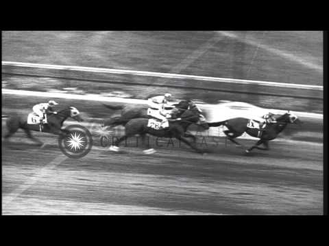 Whirlaway wins the Brooklyn Handicap at Aqueduct Racetrack in New York, United St...HD Stock Footage