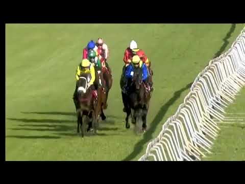 2018.07.14 Winter Derby (RSA) - Doublemint