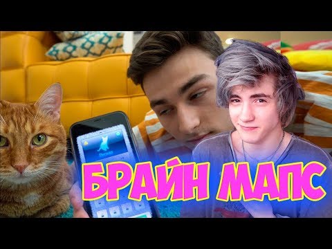 Thebrianmaps общаюсь с котом через кошачий переводчик Реакция | BrianMaps | Брайн Мапс и кот