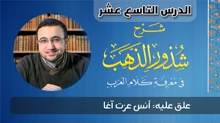 صورة الدرس التاسع عشر من شرح شذور الذهب - أنس عزت آغا