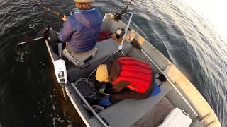 preview picture of video '15 pound Silver Salmon landed off Mukilteo, Washington'
