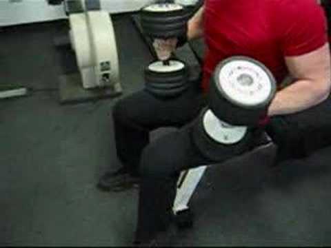 BodyShapeStudio's® LIVE