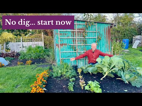 Make Your First No Dig Bed | Start Growing Your Own Food | No Dig Day 2025