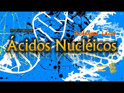 Ácidos Nucleícos