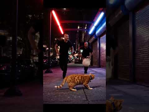 She saved cat from the streets, he saved her life. 😶‍🌫️ #cat #AnimalRescue #rescuecat #rescue