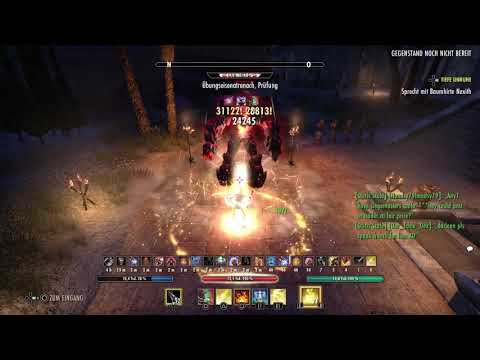 Magicka Templer Dragonhold 81 K +